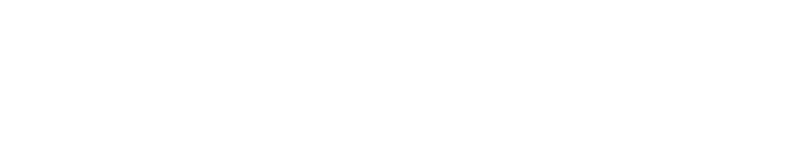 OPEX Group